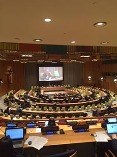 United Nations highlights Sustainable Development Goals