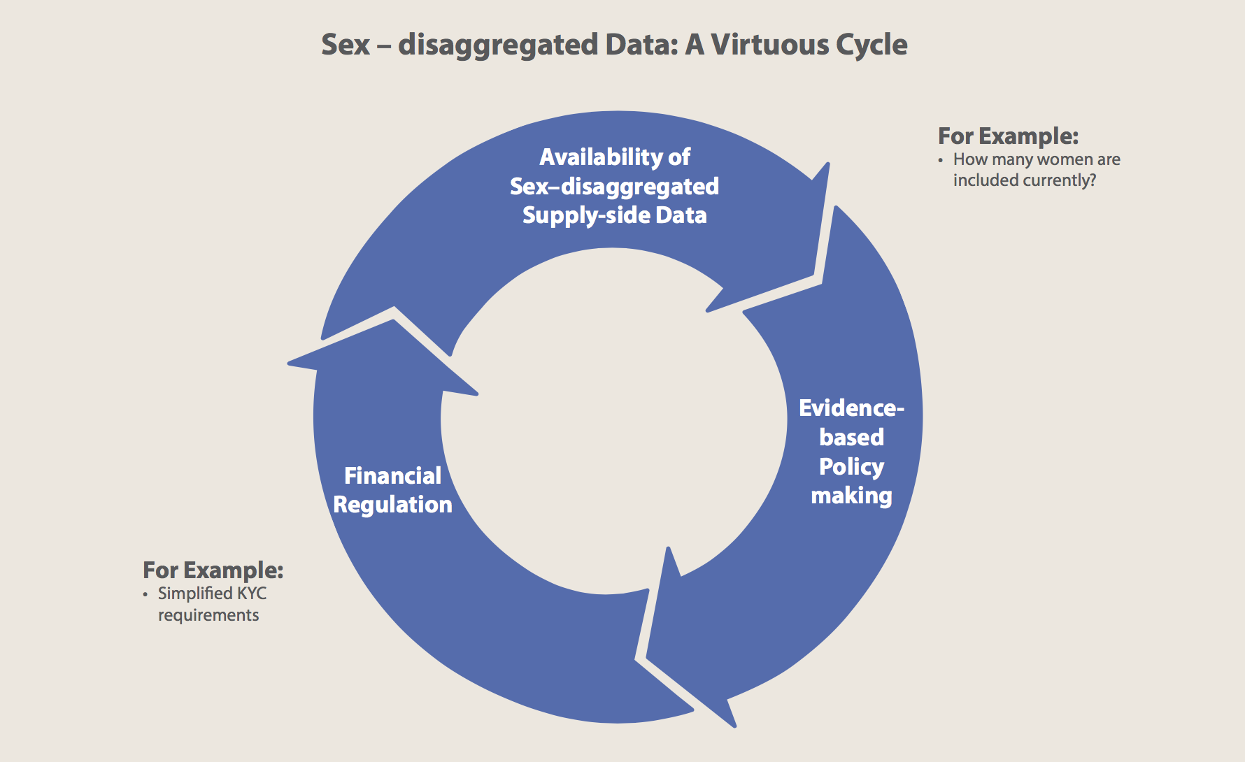 Virtuous Cycle of Sex-Disaggregated Data